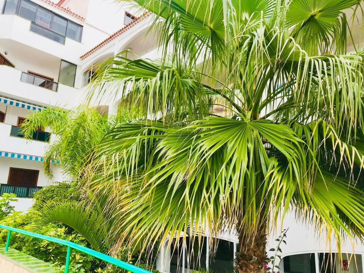 Atlantic View - Quiet, Peaceful And Windless Apt With Fantastic Ocean View Costa Del Silencio Exterior photo